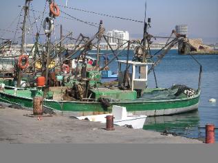 Acco fishing boats